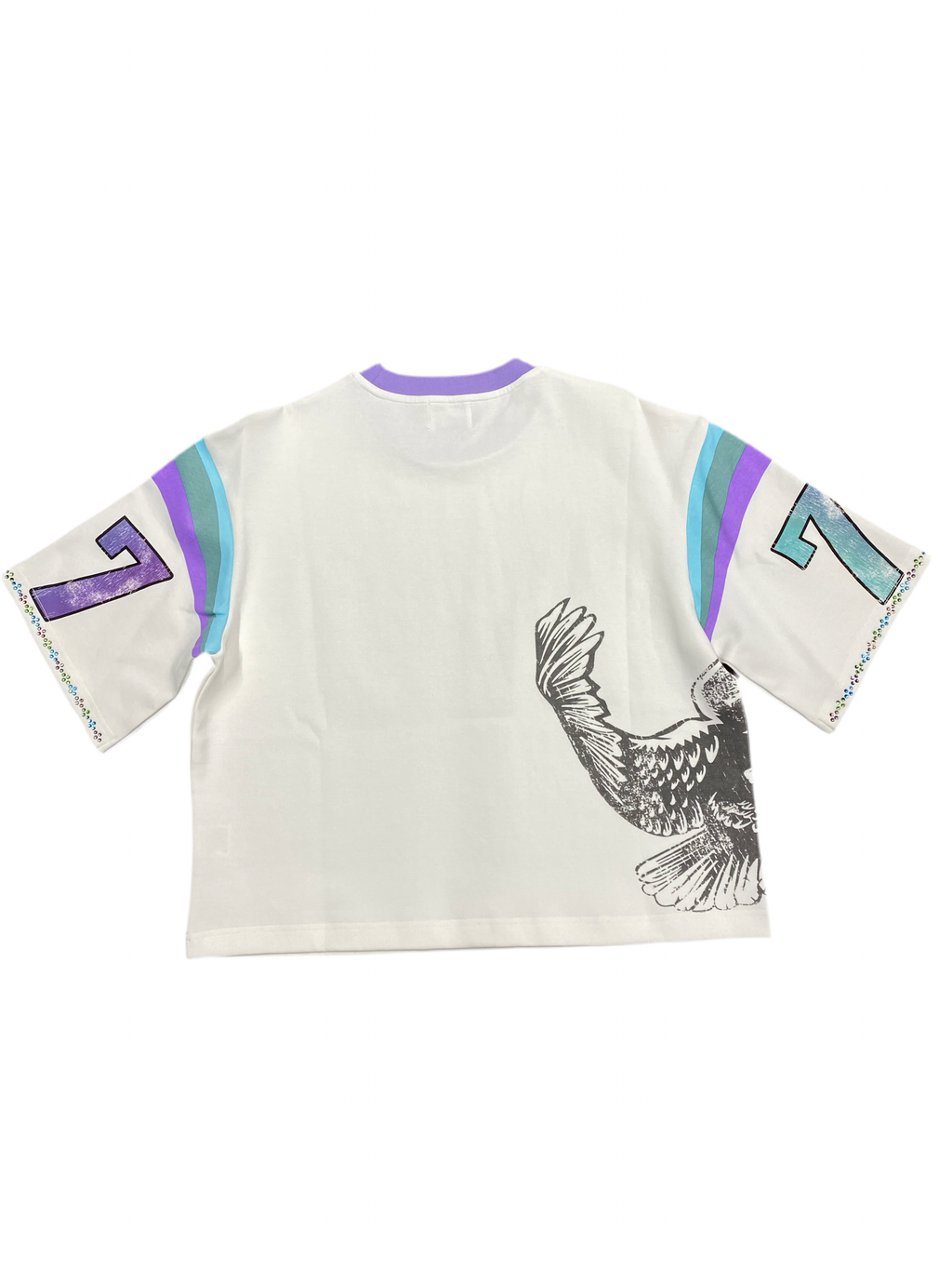 Shoot1st Atelier Jersey "Aurora"